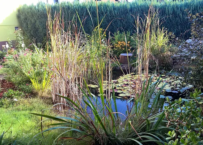 Andrea Гостевой дом 2*